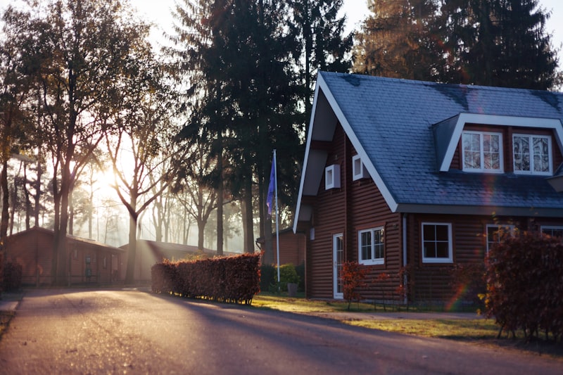 Morning light over a wooded residential entry drive